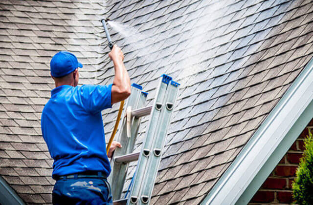 elizabeth roof cleaning